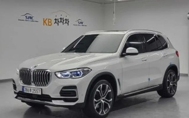 캐스퍼전기차 중고차 X5 (G05) xDrive 30d xLine 매물 사진 12 - 2023/06 45,461km